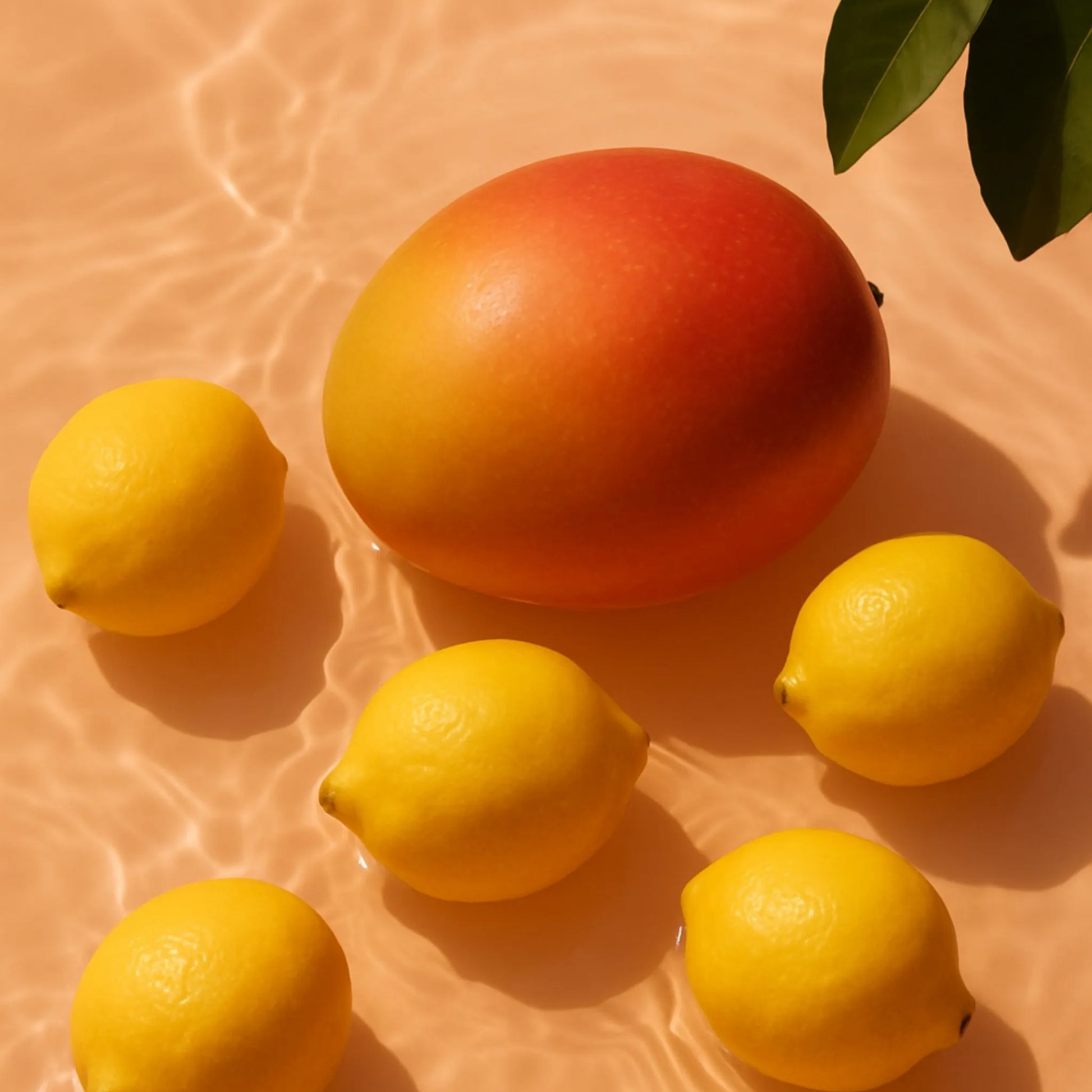 Daily Bucha Taste Set - frische Zitrone und Mango nebeneinander auf Wasseroberfläche, Symbolbild für die Geschmacksrichtungen